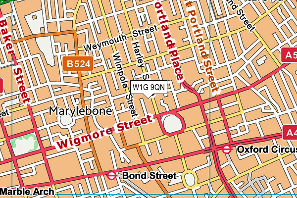 W1G 9QN map - OS VectorMap District (Ordnance Survey)