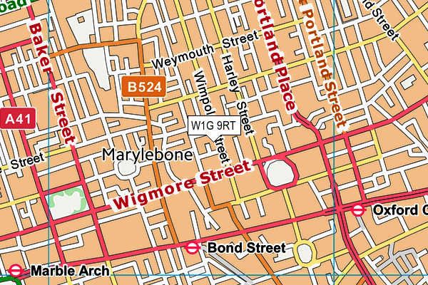 W1G 9RT map - OS VectorMap District (Ordnance Survey)