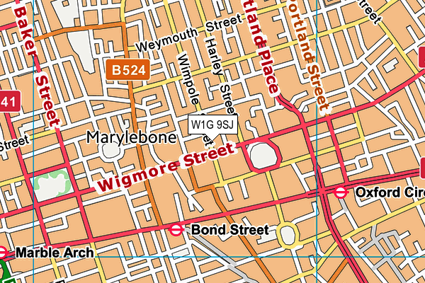 W1G 9SJ map - OS VectorMap District (Ordnance Survey)