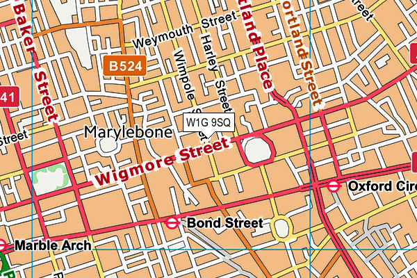 W1G 9SQ map - OS VectorMap District (Ordnance Survey)