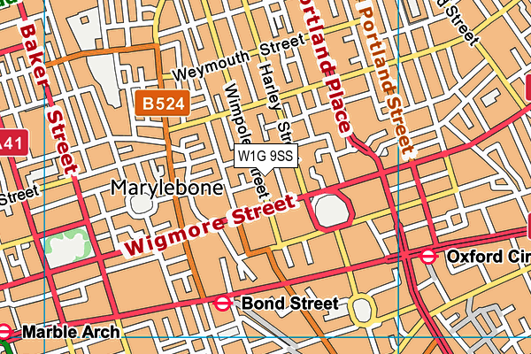 W1G 9SS map - OS VectorMap District (Ordnance Survey)