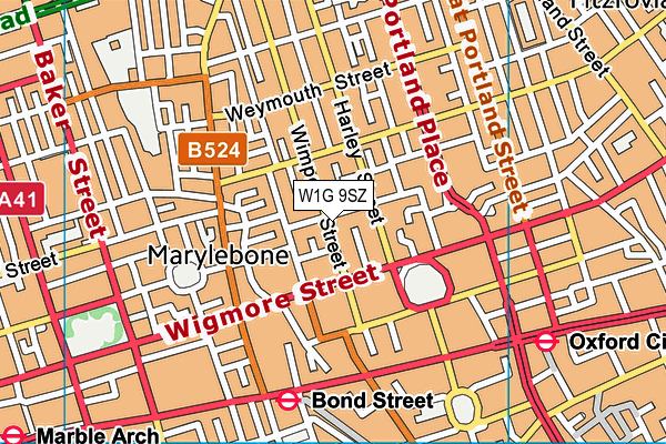 W1G 9SZ map - OS VectorMap District (Ordnance Survey)