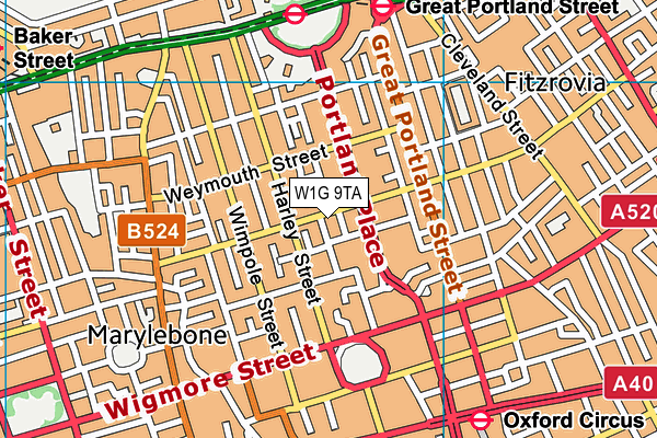 W1G 9TA map - OS VectorMap District (Ordnance Survey)
