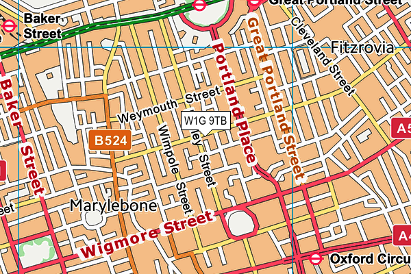 W1G 9TB map - OS VectorMap District (Ordnance Survey)