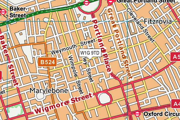 W1G 9TD map - OS VectorMap District (Ordnance Survey)