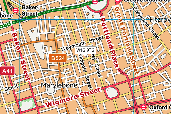 W1G 9TG map - OS VectorMap District (Ordnance Survey)