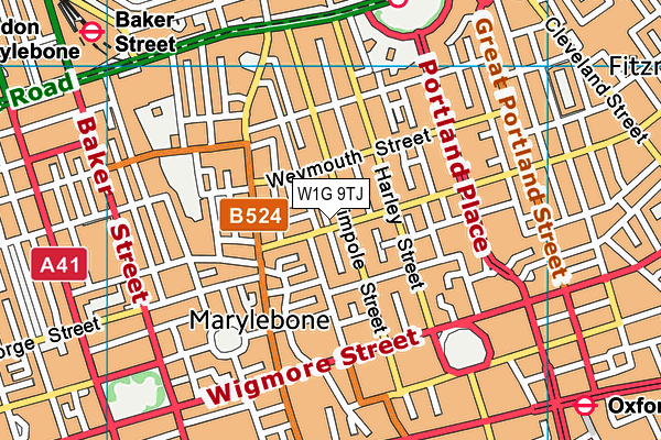 W1G 9TJ map - OS VectorMap District (Ordnance Survey)