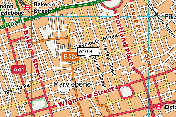 W1G 9TL map - OS VectorMap District (Ordnance Survey)