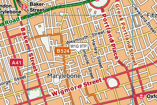 W1G 9TP map - OS VectorMap District (Ordnance Survey)