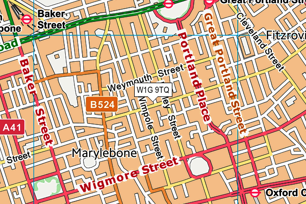 W1G 9TQ map - OS VectorMap District (Ordnance Survey)