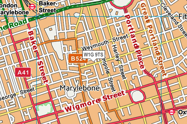 W1G 9TS map - OS VectorMap District (Ordnance Survey)
