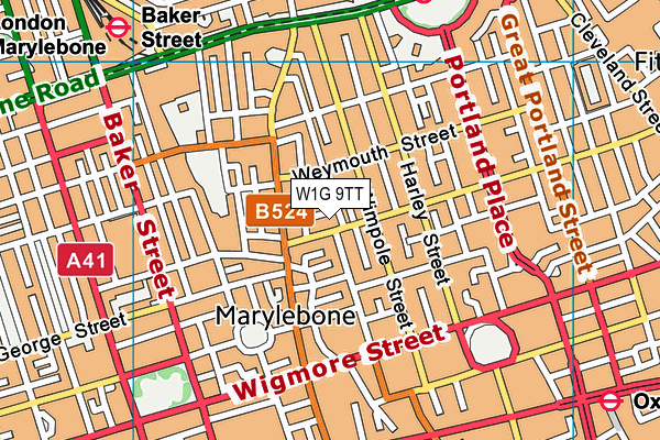 W1G 9TT map - OS VectorMap District (Ordnance Survey)