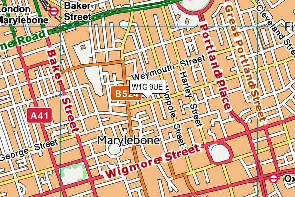 W1G 9UE map - OS VectorMap District (Ordnance Survey)