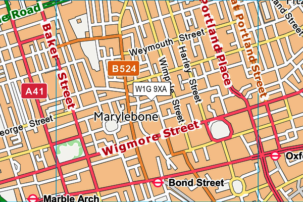 W1G 9XA map - OS VectorMap District (Ordnance Survey)