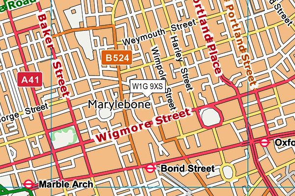 W1G 9XS map - OS VectorMap District (Ordnance Survey)