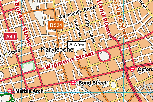 W1G 9YA map - OS VectorMap District (Ordnance Survey)