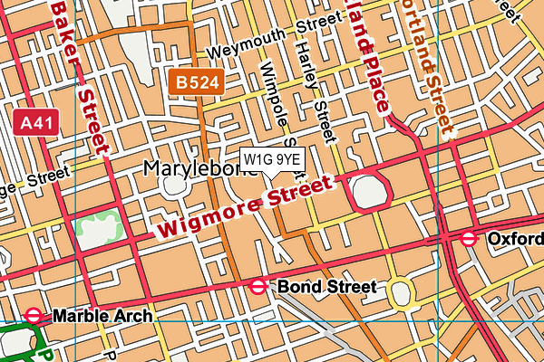 W1G 9YE map - OS VectorMap District (Ordnance Survey)