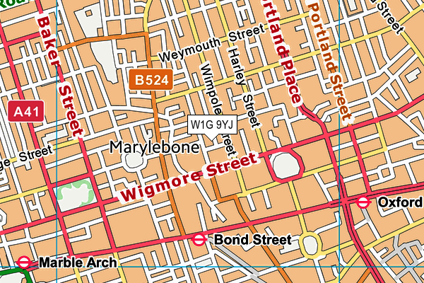 W1G 9YJ map - OS VectorMap District (Ordnance Survey)