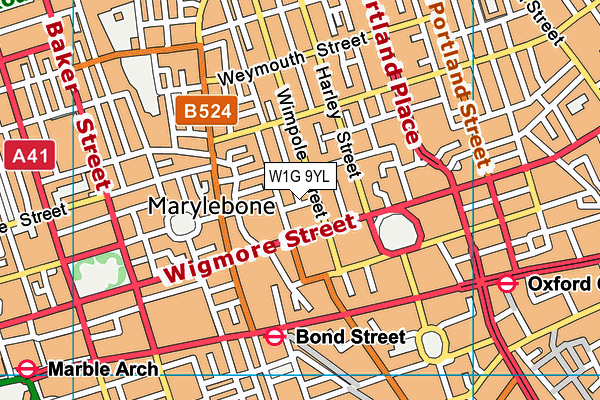 W1G 9YL map - OS VectorMap District (Ordnance Survey)