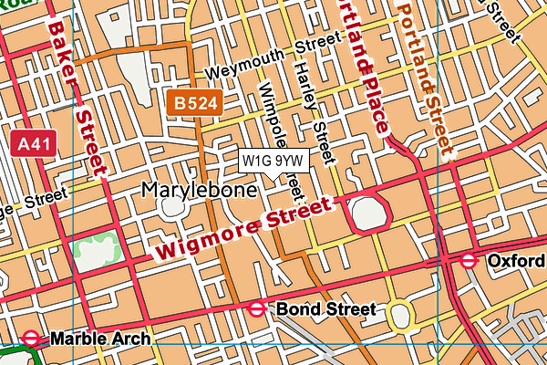 W1G 9YW map - OS VectorMap District (Ordnance Survey)