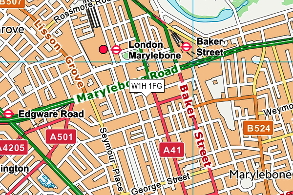 W1H 1FG map - OS VectorMap District (Ordnance Survey)