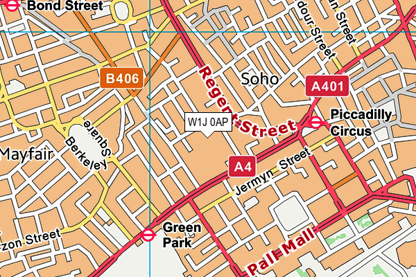 W1J 0AP map - OS VectorMap District (Ordnance Survey)