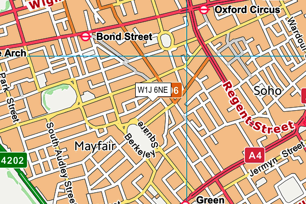 W1J 6NE map - OS VectorMap District (Ordnance Survey)