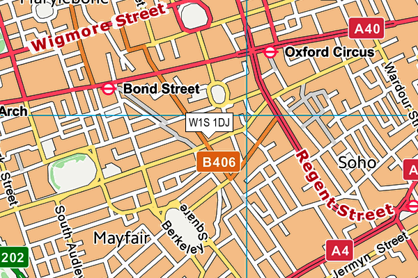 W1S 1DJ map - OS VectorMap District (Ordnance Survey)