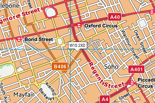 W1S 2XD map - OS VectorMap District (Ordnance Survey)
