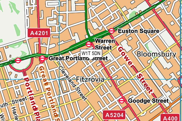 W1T 5DN map - OS VectorMap District (Ordnance Survey)