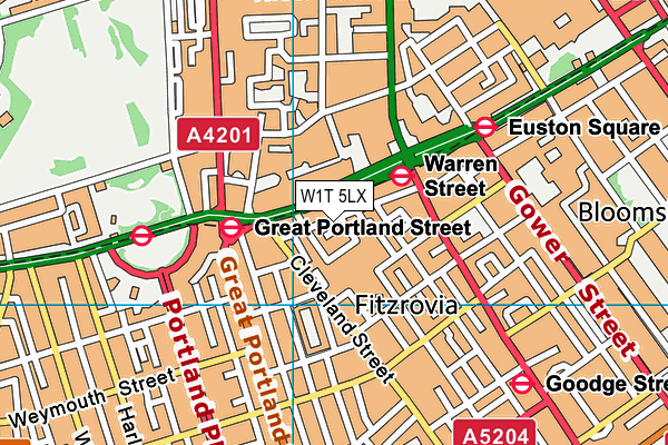 W1T 5LX map - OS VectorMap District (Ordnance Survey)