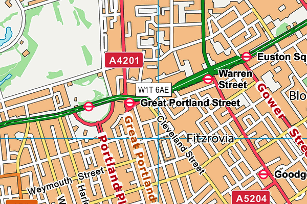 W1T 6AE map - OS VectorMap District (Ordnance Survey)