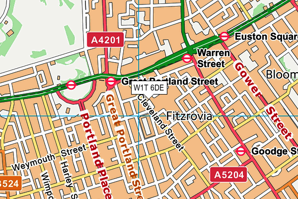 W1T 6DE map - OS VectorMap District (Ordnance Survey)