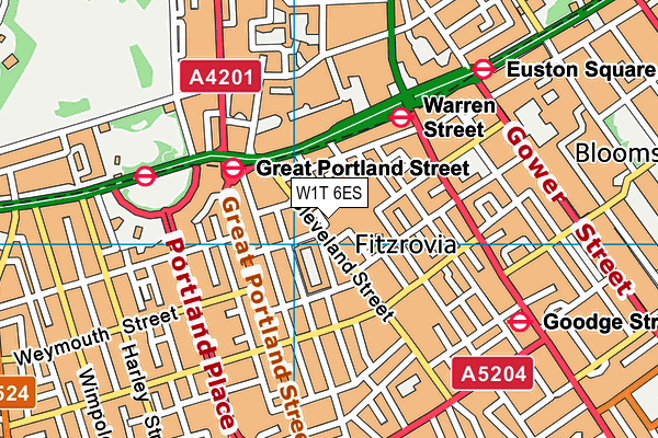 W1T 6ES map - OS VectorMap District (Ordnance Survey)