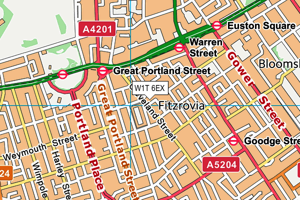 W1T 6EX map - OS VectorMap District (Ordnance Survey)