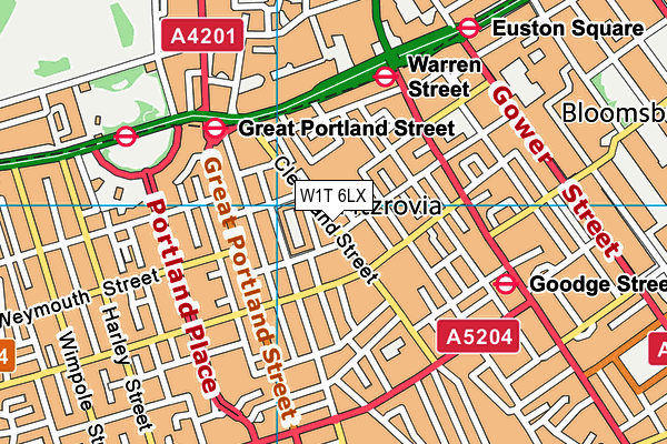 W1T 6LX map - OS VectorMap District (Ordnance Survey)
