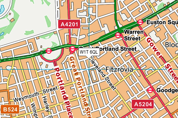 W1T 6QL map - OS VectorMap District (Ordnance Survey)