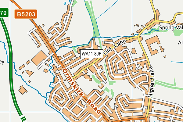 WA11 8JF map - OS VectorMap District (Ordnance Survey)