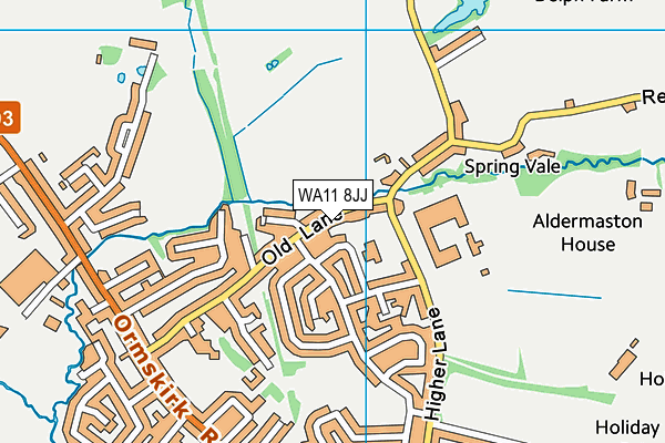 WA11 8JJ map - OS VectorMap District (Ordnance Survey)