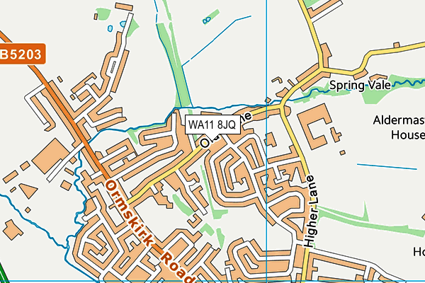 WA11 8JQ map - OS VectorMap District (Ordnance Survey)