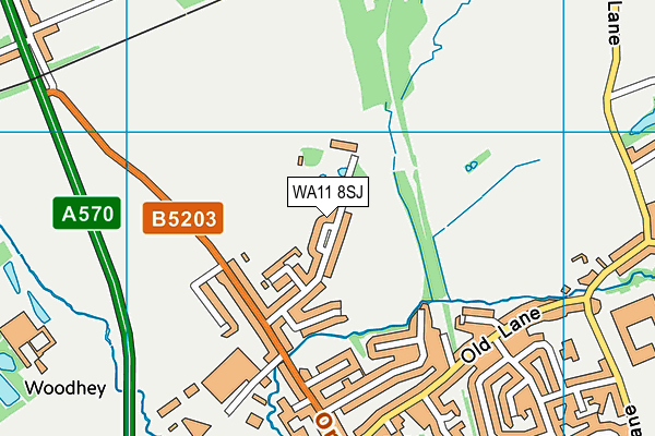 WA11 8SJ map - OS VectorMap District (Ordnance Survey)