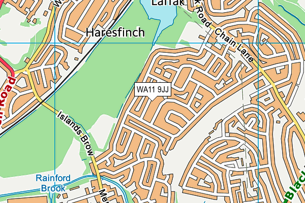 WA11 9JJ map - OS VectorMap District (Ordnance Survey)