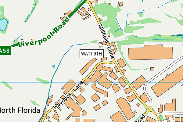 WA11 9TH map - OS VectorMap District (Ordnance Survey)