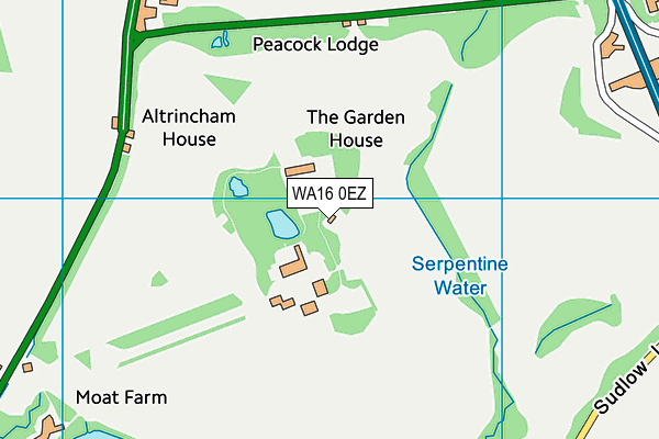 WA16 0EZ map - OS VectorMap District (Ordnance Survey)