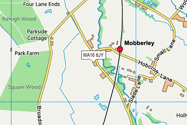 WA16 6JY map - OS VectorMap District (Ordnance Survey)