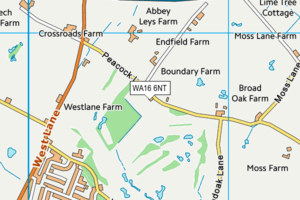 WA16 6NT map - OS VectorMap District (Ordnance Survey)