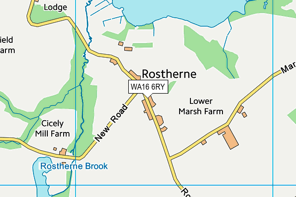 Rostherne Cricket Club map (WA16 6RY) - OS VectorMap District (Ordnance Survey)