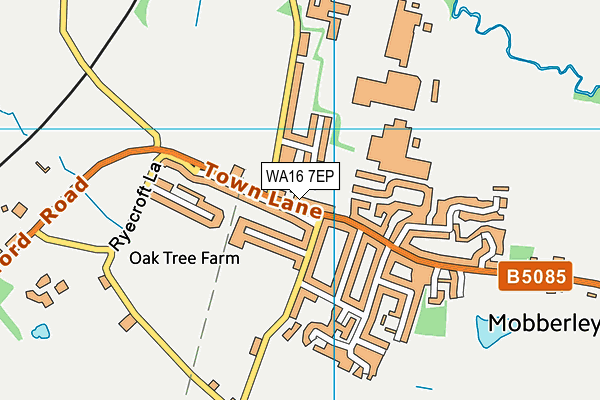 WA16 7EP map - OS VectorMap District (Ordnance Survey)