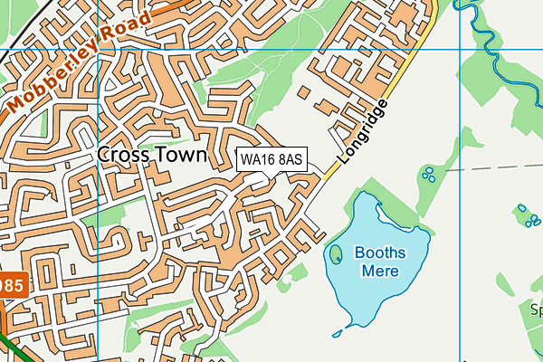 WA16 8AS map - OS VectorMap District (Ordnance Survey)