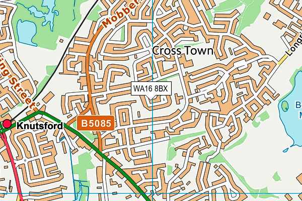WA16 8BX map - OS VectorMap District (Ordnance Survey)